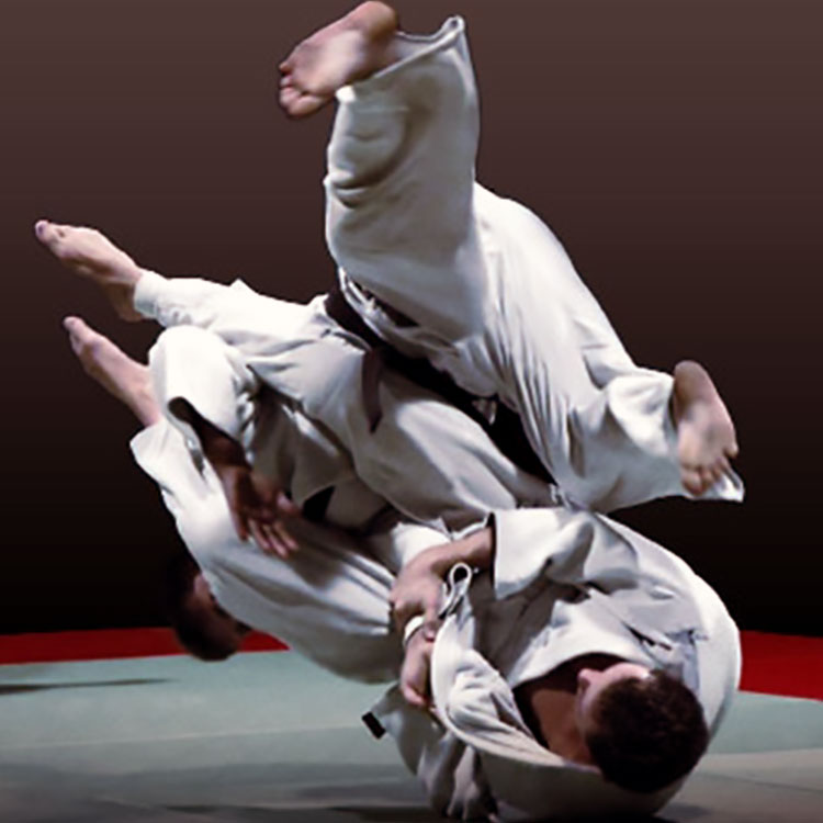 Judo Fight